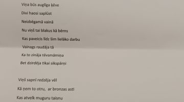 Izstādes 