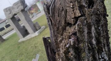 Jēkabpils Galvenās bibliotēkas Lieldienu zaķu darbi