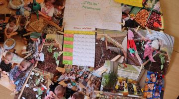 European School Education Platform projekts 