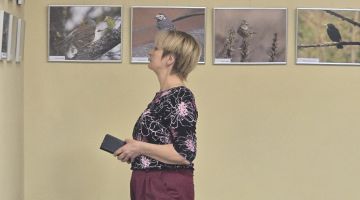 Gitas Losānes Foto izstāde ‘’Strazdi iesvilpo pavasari’’