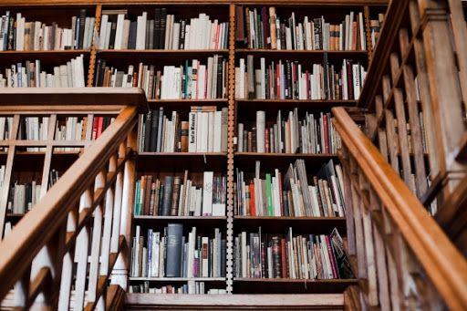 Bibliotēkzinātne