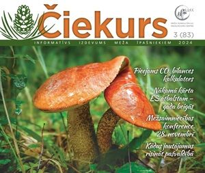 Čiekurs