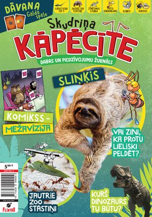 Skudriņa Kāpēcīte