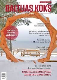 Baltijas Koks