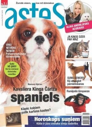 Astes