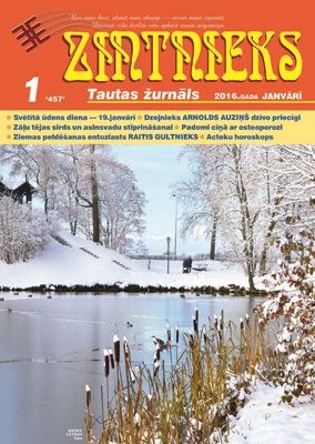 Zintnieks