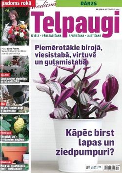 Padoms Rokā