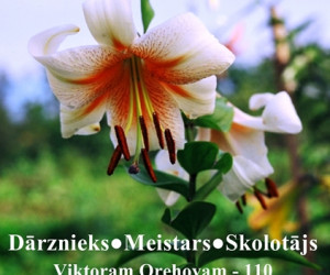 Selekcionārs Viktors Orehovs