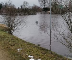 Pļaviņu ielas daļā aiz tuneļa un Vārpu ielā ūdens līmenis daudzviet sasniedza ēku logus. Grūti pamanāmas bija pat ceļa zīmes.