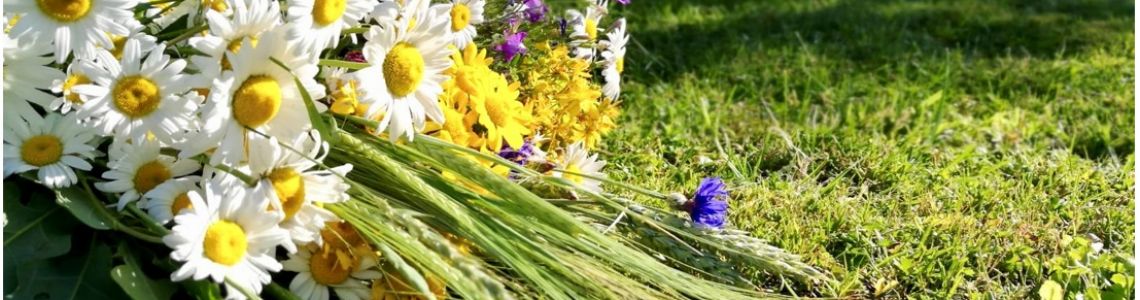 Tematiska izstāde “ Vasaras saulgrieži’’