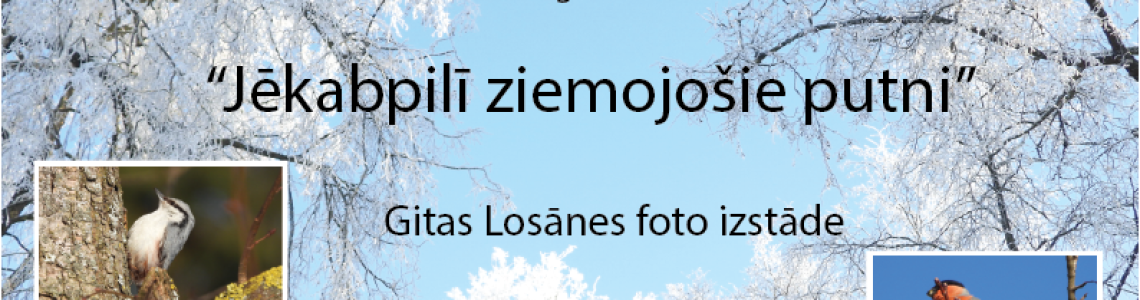 Foto izstāde '' Jēkabpilī ziemojošie putni'' 