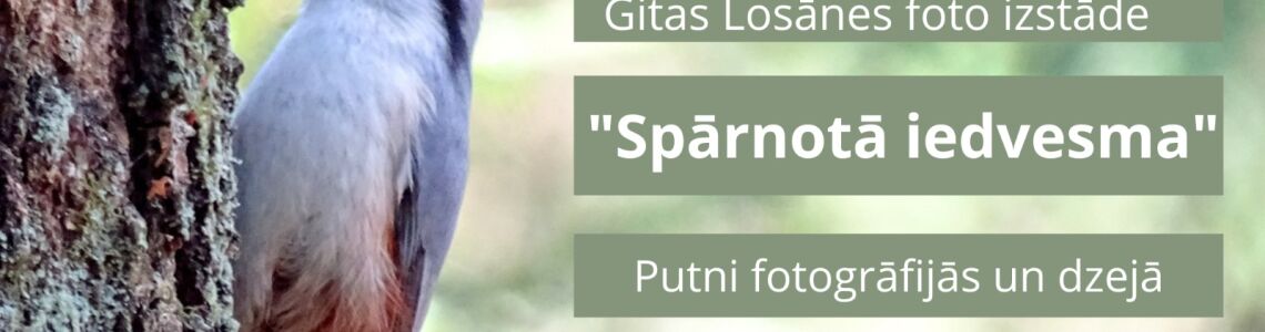 Gitas Losānes  fotoizstāde “ Spārnotā iedvesma” 