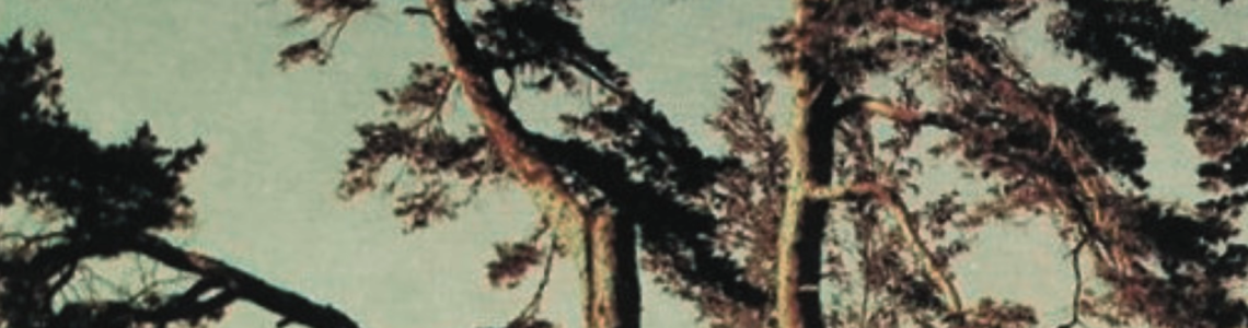 Virtuāla novadpētniecības izstāde: Rainis’’Lauztās priedes’’ – 125