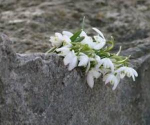 Tematiska izstāde:  Atvērtu atmiņu turēt  Un neaizmirst Tās daudzās dvēseles...