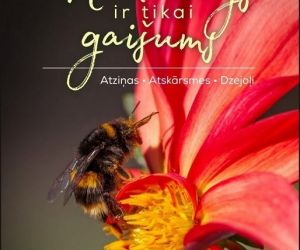 Andra Grīnberga grāmatas “Nemainīgs ir tikai gaišums” atvēršana