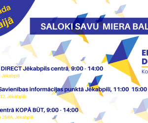 Saloki savu miera balodi