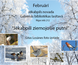 Foto izstāde '' Jēkabpilī ziemojošie putni'' 