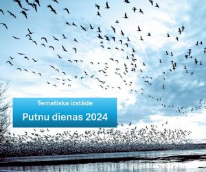  Tematiska izstāde: Putnu dienas 2024