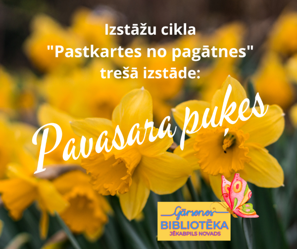 Gārsenes bibliotēkā pastkartes ar pavasara puķēm