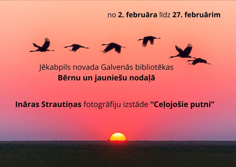 Fotogrāfiju izstāde “Ceļojošie putni” 