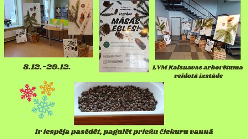 Salas bibliotēka aicina apskatīt LVM Kalsnavas arborētuma izstādi 