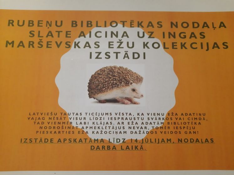 Līdz 14.jūlijam Rubeņu bibliotēkas nodaļā Slatē ir apskatāma Ingas Marševskas ežu kolekcijas izstāde