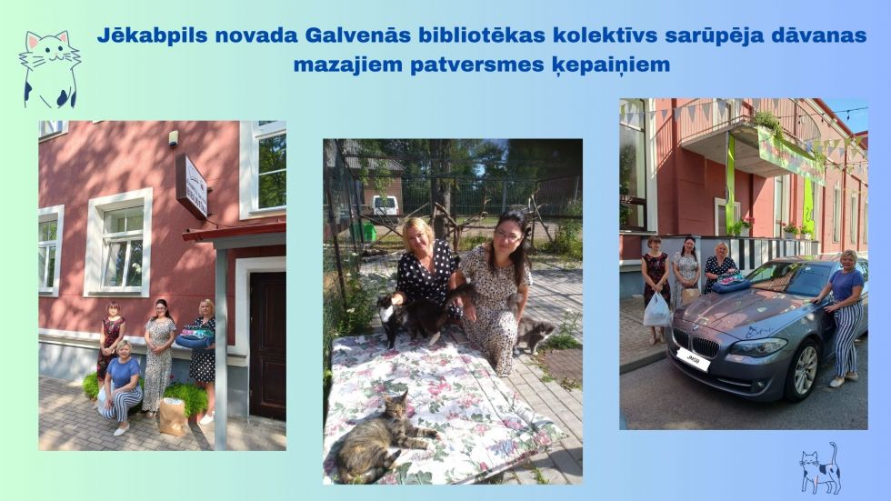 Labdarības akcija mazajiem patversmes ķepaiņiem