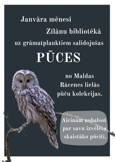 Zīlānu bibliotēka līdz 31.janvārim aicina uz pūču kolekcijas izstādi