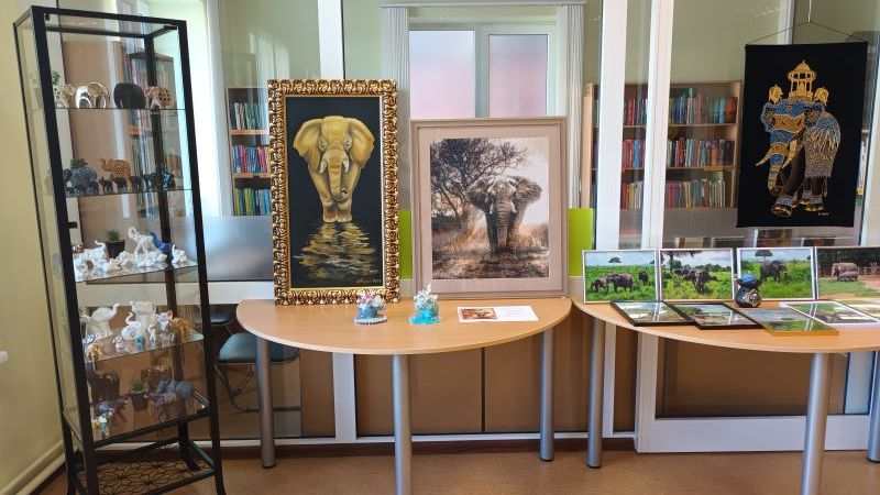 Salas bibliotēka aicina uz kolekcijas izstādi 