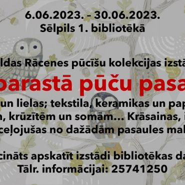 Sēlpils 1. bibliotēkā līdz 30.jūnijam Maldas Rācenes pūcīšu kolekcijas izstāde