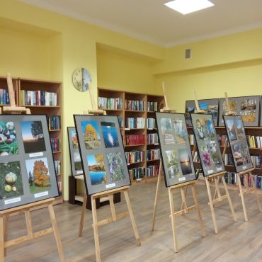 Zasas bibliotēkā līdz 31. martam skatāma foto izstāde “Sēlijas rudens”