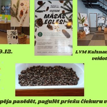 Salas bibliotēka aicina apskatīt LVM Kalsnavas arborētuma izstādi 