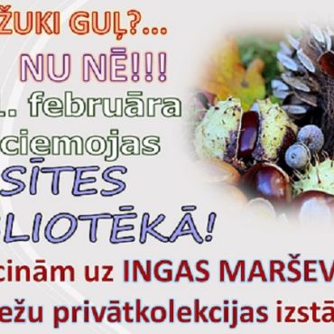 Viesītes bibliotēkā ežu privātkolekcijas izstāde