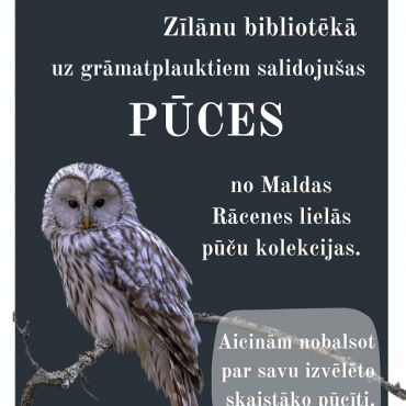 Zīlānu bibliotēka līdz 31.janvārim aicina uz pūču kolekcijas izstādi
