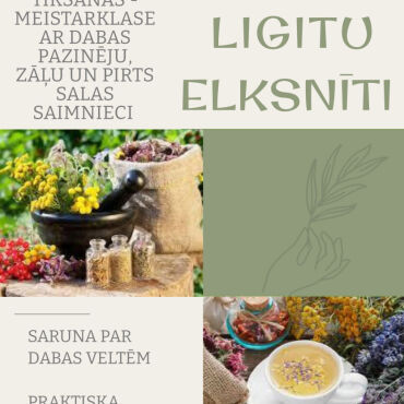 Aknīstes bibliotēkā 27.martā plkst. 15.00 tikšanās-meistarklase ar Zāļu un pirts salas saimnieci Ligitu Elksnīti