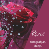 Septembrī Gārsenes bibliotēkā izstāde "Rozes fotogrāfijās, dzejā un dziesmu vārdos"